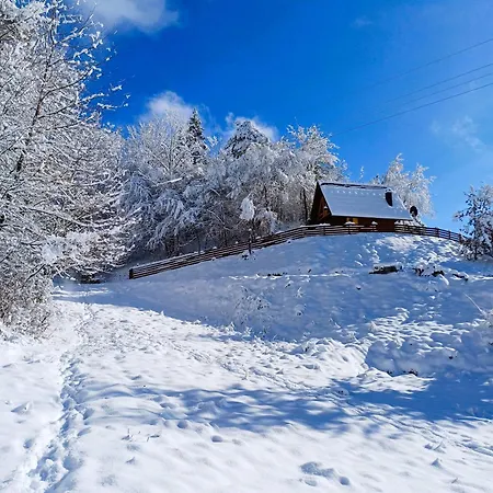 Wooden House Suska 3 - Drvena Kuca Suska 3 Zaovine