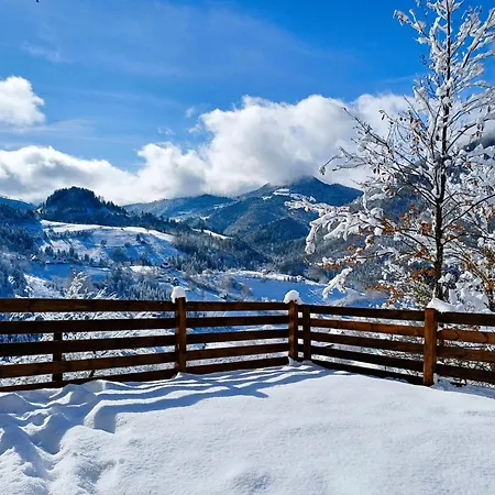 Dağ evi Wooden House Suska 3 - Drvena Kuca Suska 3 Zaovine