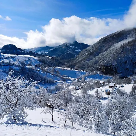 Wooden House Suska 3 - Drvena Kuca Suska 3 * Zaovine