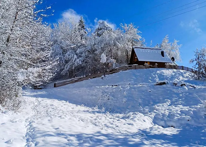 Wooden House Suska 3 - Drvena Kuca Suska 3 Zaovine