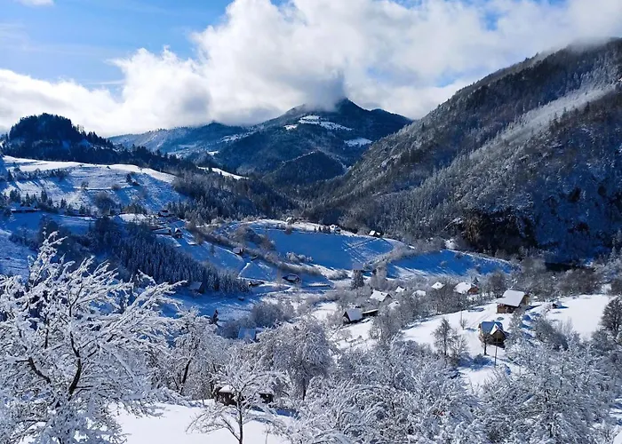 Wooden House Suska 3 - Drvena Kuca Suska 3 * Zaovine