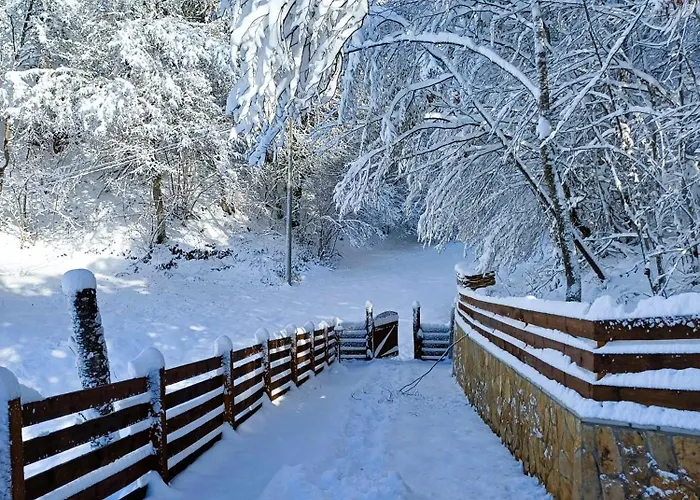 Wooden House Suska 3 - Drvena Kuca Suska 3 Chalé